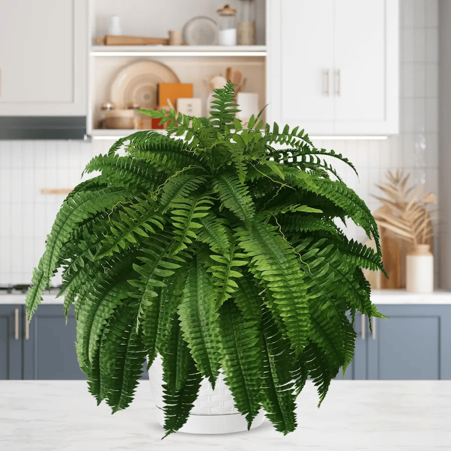 🔥$9.97 On Sale Today Only🌱UV Resistant Lifelike Artificial Boston Fern