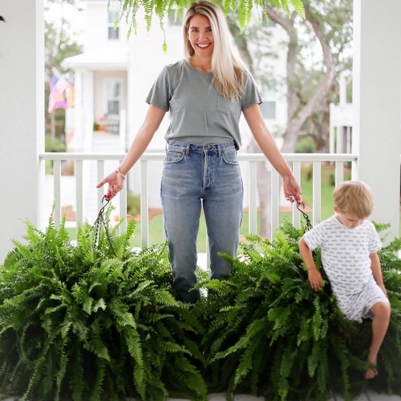 🔥$9.97 On Sale Today Only🌱UV Resistant Lifelike Artificial Boston Fern