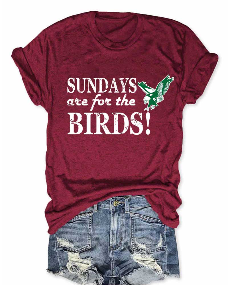 Sundays Are For The Birds Football T-Shirt